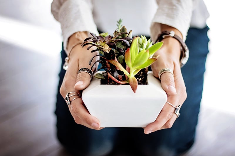 Mason Jar Terrarium